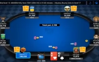 Understanding common poker formats